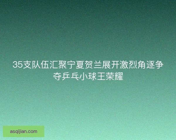 35支队伍汇聚宁夏贺兰展开激烈角逐争夺乒乓小球王荣耀