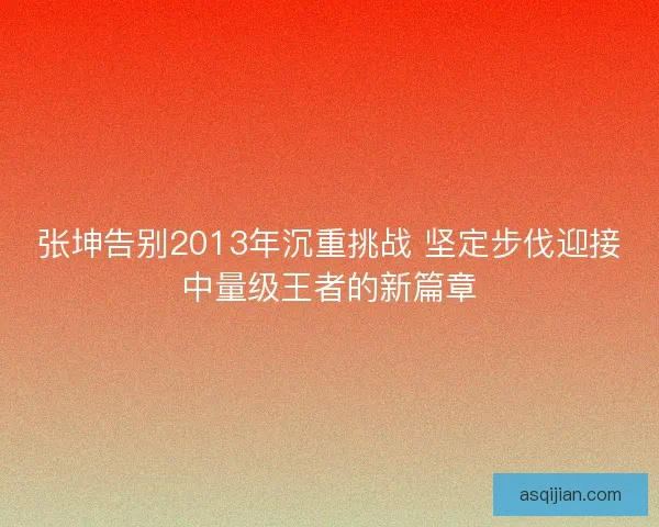 张坤告别2013年沉重挑战 坚定步伐迎接中量级王者的新篇章